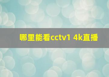 哪里能看cctv1 4k直播